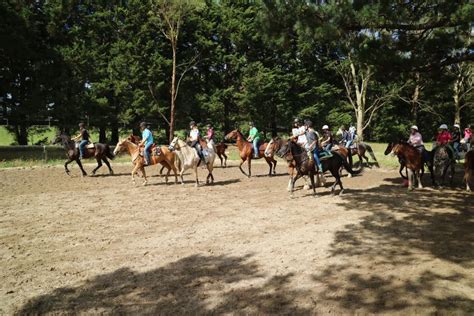 darkes forest riding.